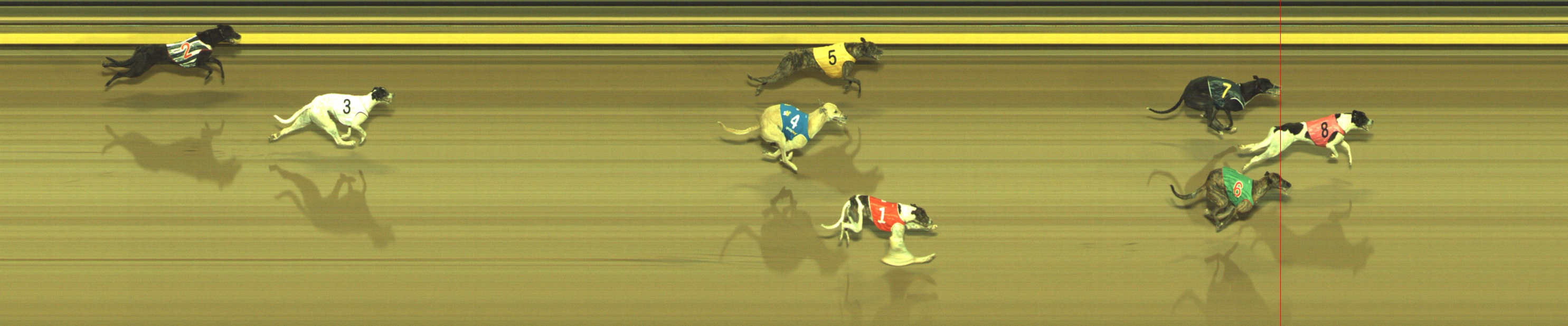 Race result finish photo